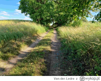 Van-der-Ledre - Roweryk se, krajobrazy typu powiatowe pola, ścieżka, którą pewnie jes...