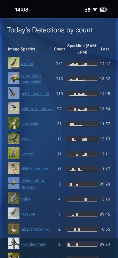 blinxdxb - A tu dzisiejsze statystki z birdneta.