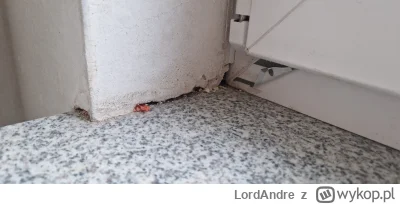 LordAndre - Montaż parapetu też wzorowy