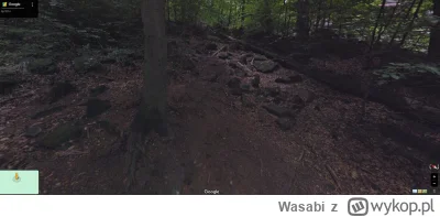 Wasabi - To jest dokladnie to miejsce na Street View i drzewo na ktorym siedzialy :
h...