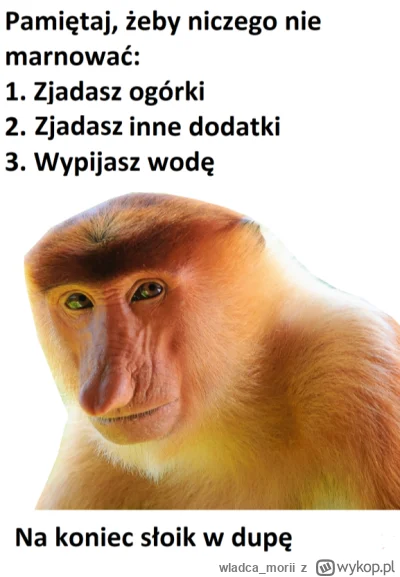 wladca_morii - #humorobrazkowy #konkursnanajbardziejgownianymemznosaczem
