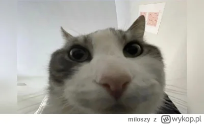 miloszy - #kiszak #drwalrebajlo
Rock wrzucił nowy materiał na którym ZŁOMUJE Drwala
Z...