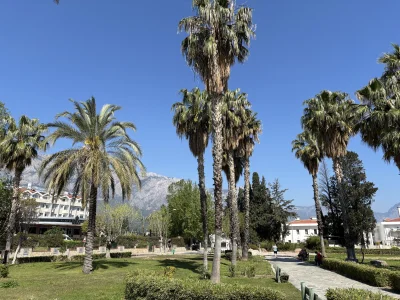 PodniebnyMurzyn - Ja palmoski