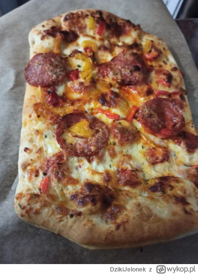 DzikiJelonek - #przegryw pinsa dla chłopa