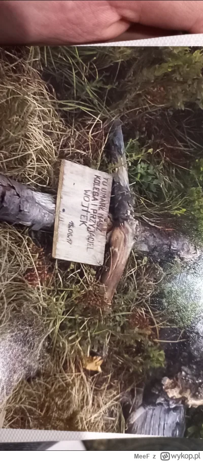 MeeF - Cześć. Mój Tata jest pasjonatem chodzenia po górach i właśnie pokazywał mi róż...