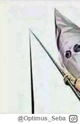 Optimus_Seba