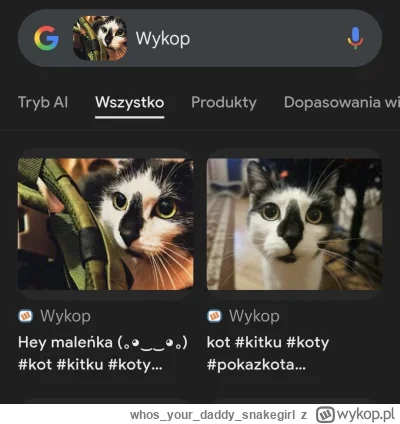 whosyourdaddy_snakegirl - @moll

No niestety...