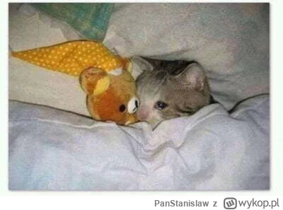 PanStanislaw - @PanStanislaw: