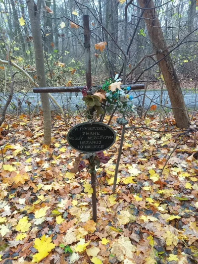 ZukColorado - #lublin