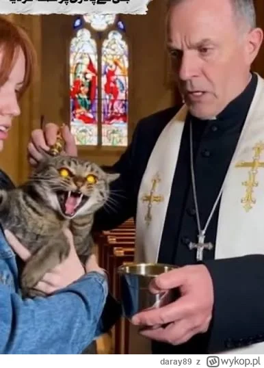 daray89 - #codziennykotopetany #dziwnekotki