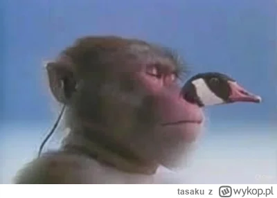 tasaku - @paramedix: