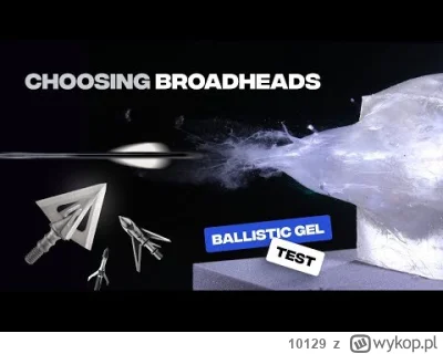 10129 - aby w coś realnie trafić, tym bardziej strzelając szybko z łuku i odległości ...