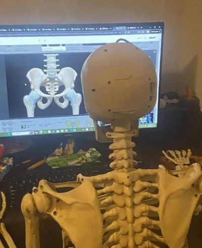 wfyokyga - Gołe szkielatony enter