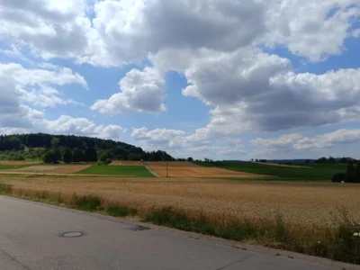 Linnior88 - @Linnior88