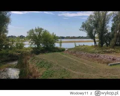 Wodowy11 - #natura #wisla #rzeka #wolnerzeki #woda #las #przyroda #fotografia #susza ...