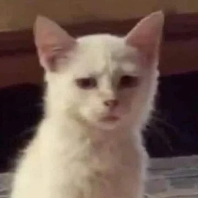 vieniasn - @CREATE_USER właśnie potraktowałeś żart poważnie i dopisałeś do tego jeszc...