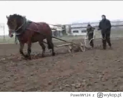 PawelW124 - #przegryw @grap32