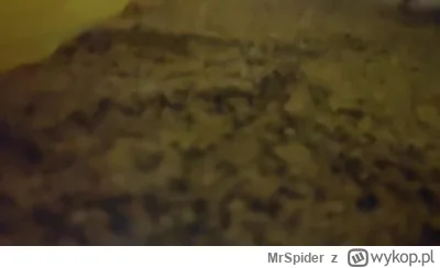 MrSpider - Temu PRZYGŁUPOWI z DC to w ryj co najmniej się należy myśli, że to śmieszn...