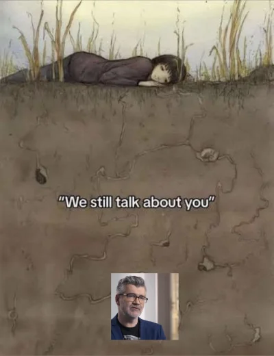 kotosarenka - #slubodpierwszegowejrzenia