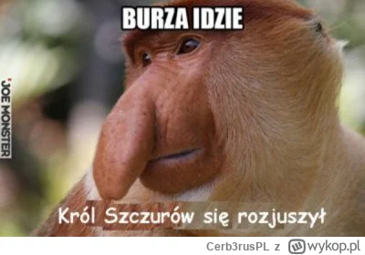 Cerb3rusPL - #konkursnanajbardziejgownianymemznosaczem