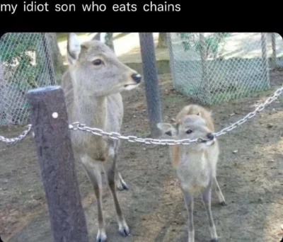 wybryk_natury - mame patrz co umiem
#zlodziejskiewybryki