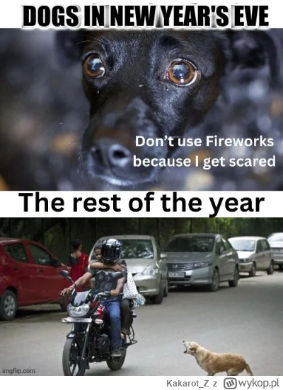 Kakarot_Z - Za granicą też dyskusja