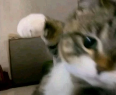 AlexHunter - Czy jest ktoś w stanie mi dać 20€ żebym sobie zamówił coś do jedzenia? A...