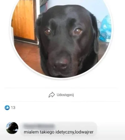 wybryk_natury - #zlodziejskiewybryki