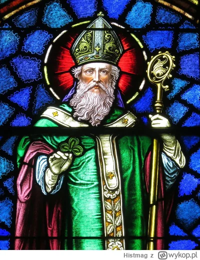 Histmag - Znalezisko - Patryk z Irlandii - między historią a legendą (https://wykop.p...