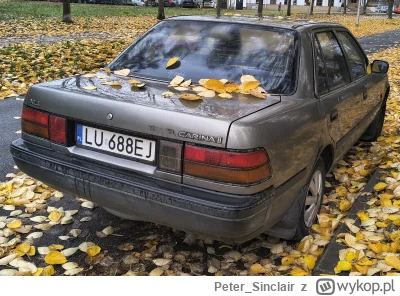 PeterSinclair - @PeterSinclair: