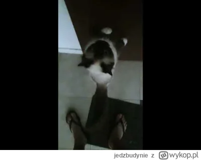 jedzbudynie - @Milo900: