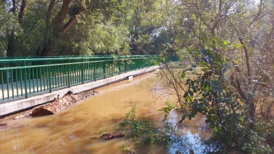 PeterWeiss - #bystrzyca w parku leśnickim kilka chwil temu. 
#wroclaw #powodz