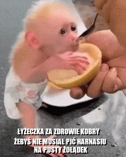 g0blacK - #bonzo #patostreamy