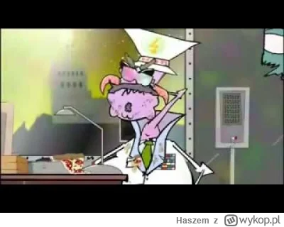 Haszem - @asdfghjkl: