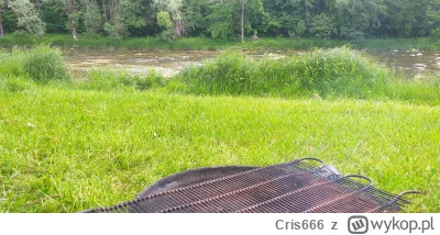 Cris666 - Jak mija weekend ?
#bieszczady #grill