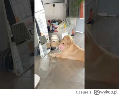 Casuel - @Caracas: bardzo sensownie napisane, oby wiecej takich tresci na tagu.
Filmi...