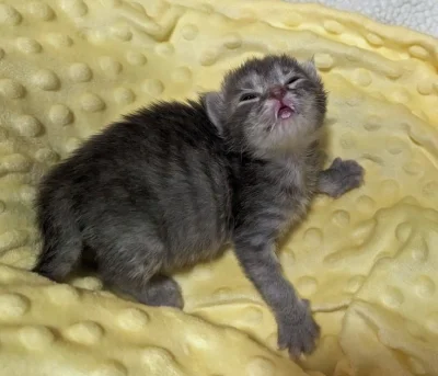 Konrad2114 - kolejny piękny dzień