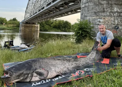 okoboji - chłop takiego 241cm suma z Wisły w Krakowie wyłowił, te ryby się je czy jak...