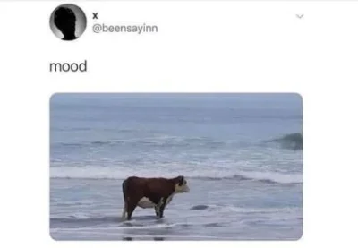 BigKokonat - @good_excuse: