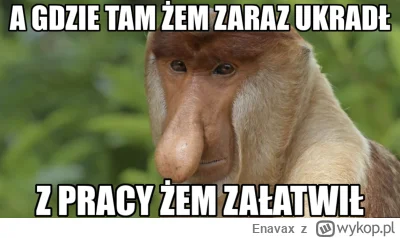 Enavax - #heheszki #humorobrazkowy #polskiedomy #nosaczsundajski