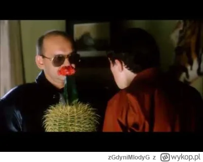 zGdyniMlodyG - @JesteMlodyGzGdyni: