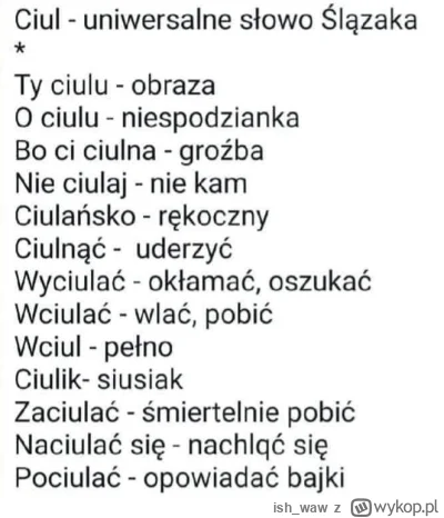 ish_waw - Śląskie słówko na dzisiaj to:

Ciul (m.)

#slask #jezykiobce #heheszki