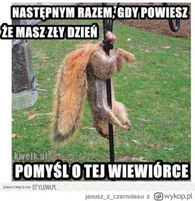 januszzczarnolasu - Powiązane ( ͡° ͜ʖ ͡°)