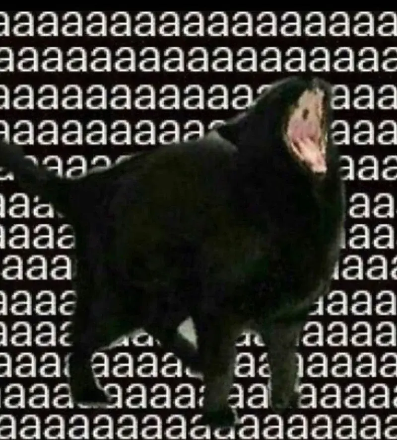 RitmoXL - #f1 HAHAHA HAMILTONOWI ZOSTAŁO JEDYNIE SKARŻENIE XDDD