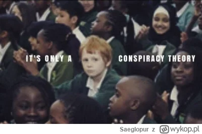 Saeglopur - W tym momencie w UK są 72 szkoły w której nie ma ANI JEDNEGO białego rdze...