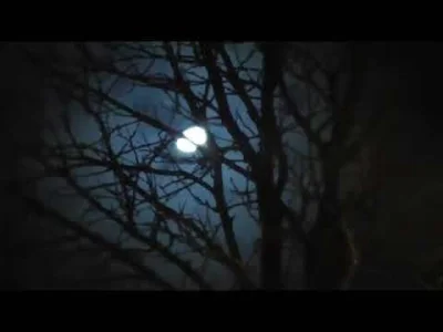 Tabasco666 - 2 grudnia
Kiedy większość z nas spała, nocna zjawa bobolska snuła się p...