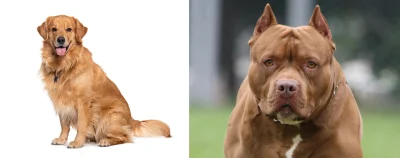 LamajHarma - W sumie zawsze mnie to zastanawiało czemu wiele osób dobrowolnie wybiera...