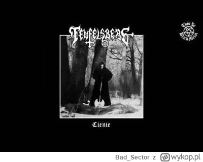 Bad_Sector - #blackmetal

Teufelsberg - Cienie