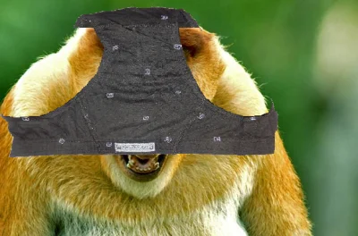 jude_88 - @SuranAbus: znowu pandymia? pjoter nie suchaj ich to je spisek Big Szczurmy...