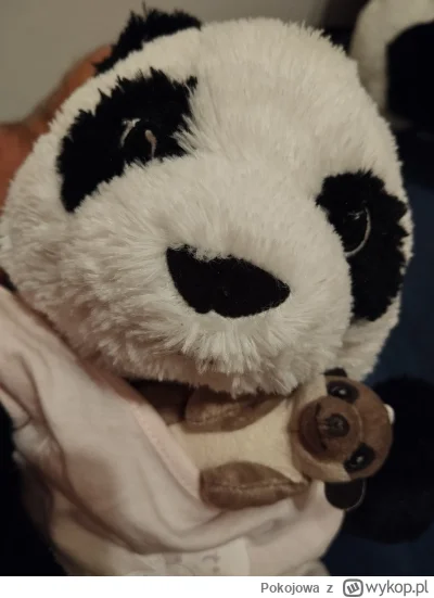 Pokojowa - Twoim zdaniem, czy w Polsce szeroko rozumiane "otwieranie ludziom oczu" je...